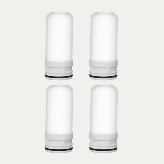 Replacement Filters 1 Year